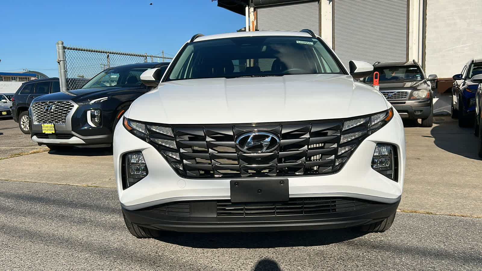 Certified 2024 Hyundai Tucson Blue with VIN KM8JBCD17RU194725 for sale in Danbury, CT