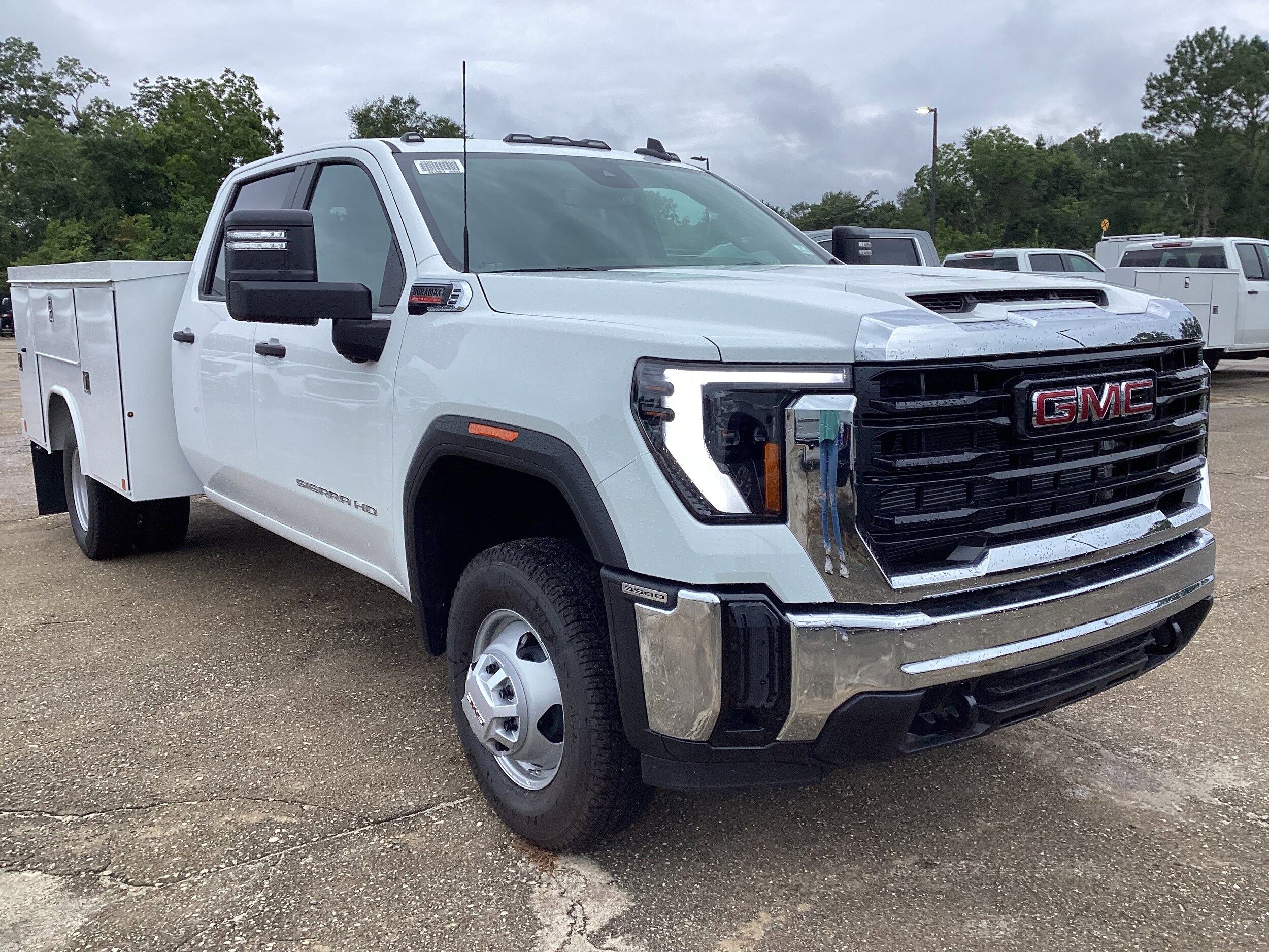 2025 Gmc Sierra 3500 HD Pro photo 3