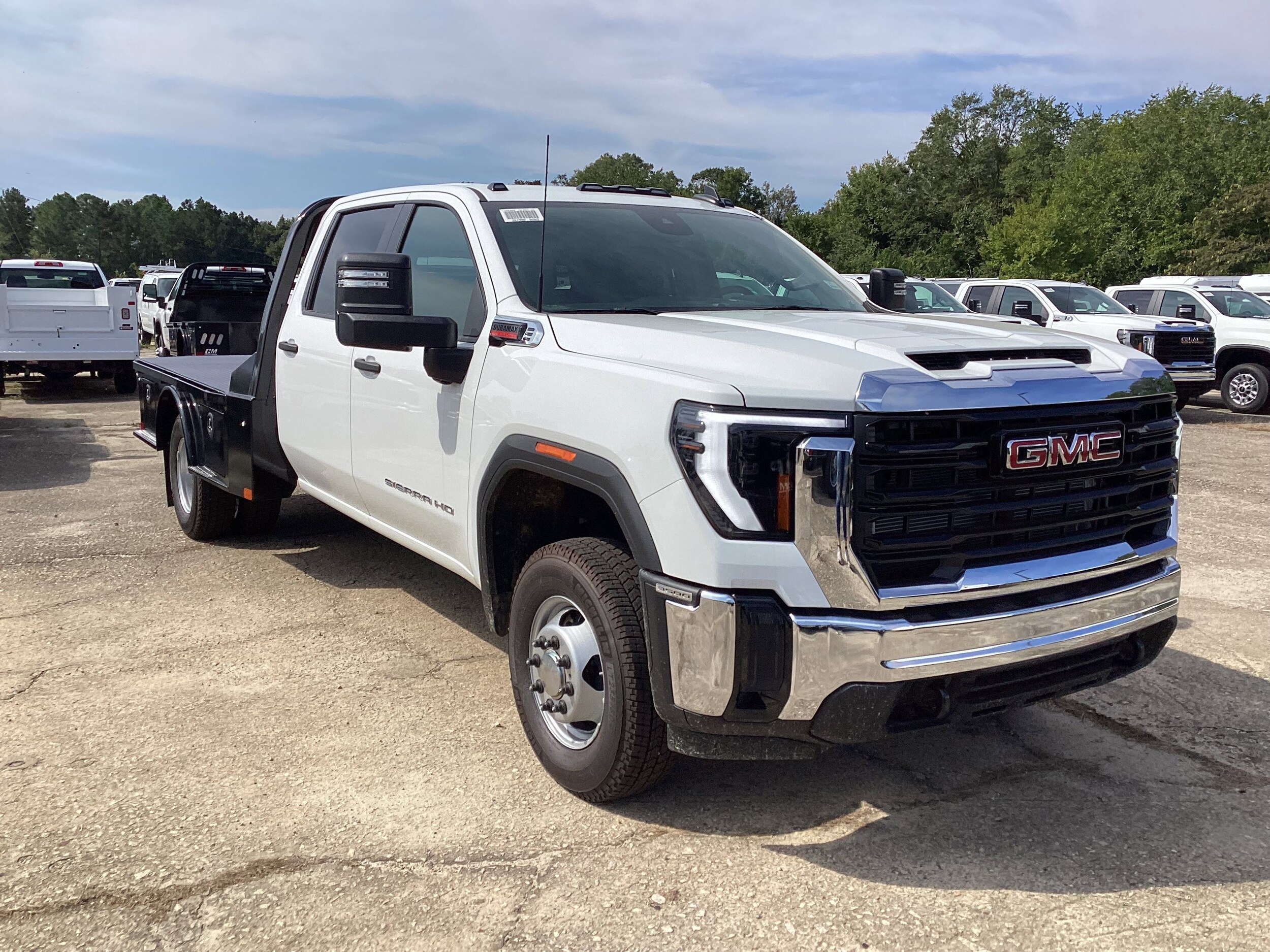 2025 Gmc Sierra 3500 HD Pro photo 3