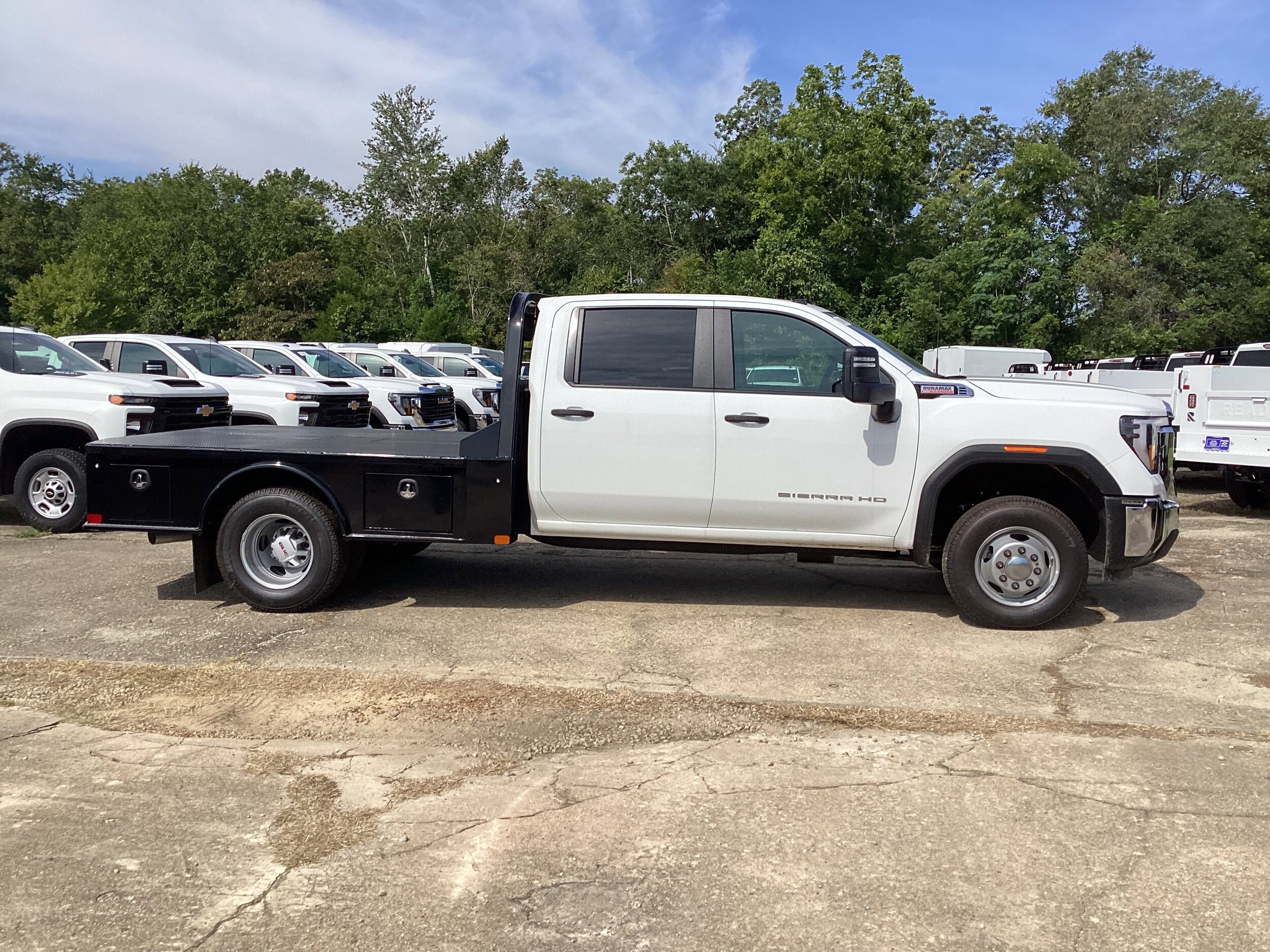2025 Gmc Sierra 3500 HD Pro photo 4