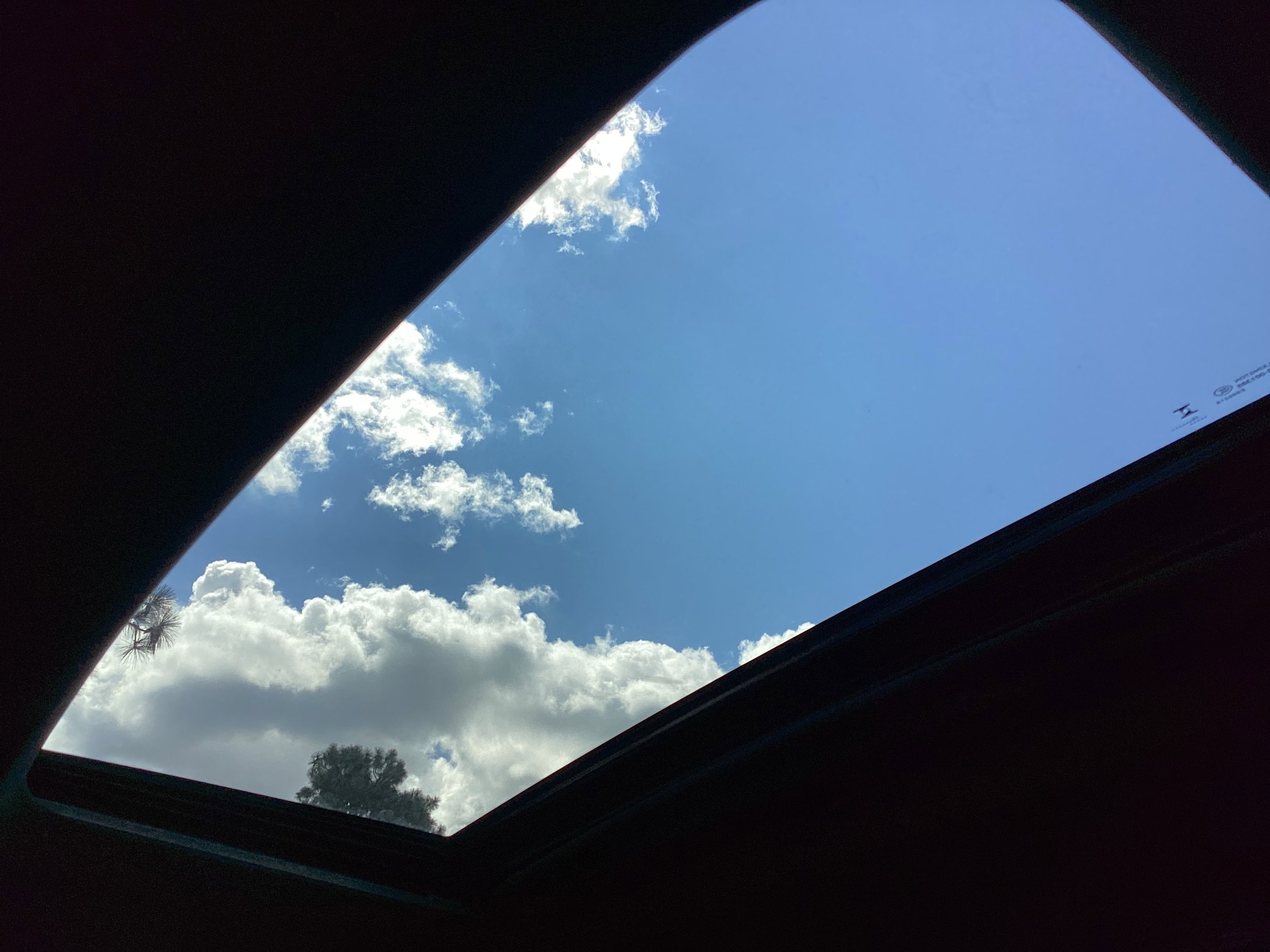View 29