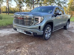 2025 GMC Sierra 1500 Denali Truck