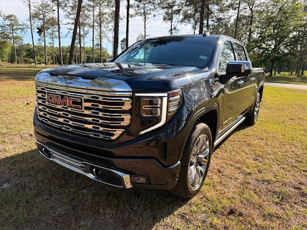 2022 GMC Sierra 1500 Denali Truck