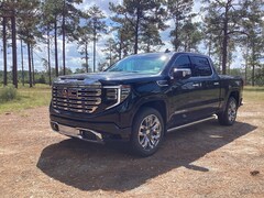 2025 GMC Sierra 1500 Denali Truck