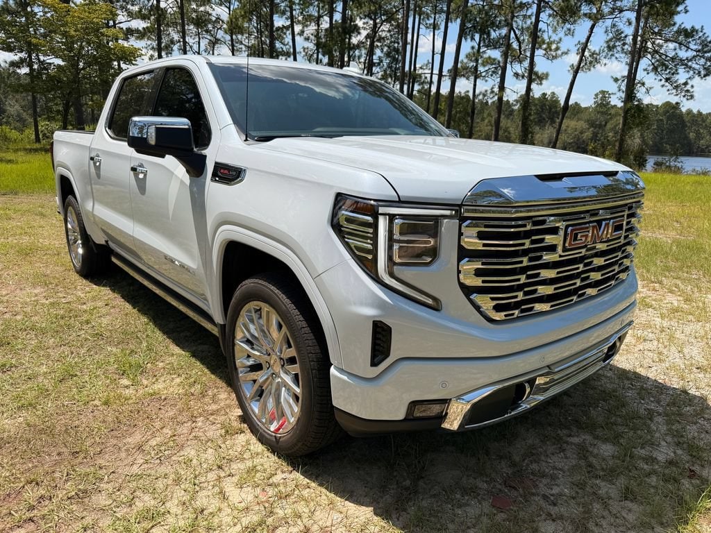 2026 GMC Sierra 1500 Denali - Photo 10