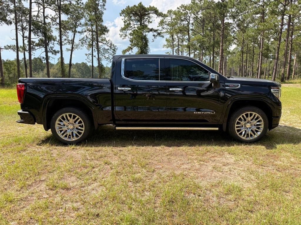 2026 GMC Sierra 1500 Denali - Photo 6