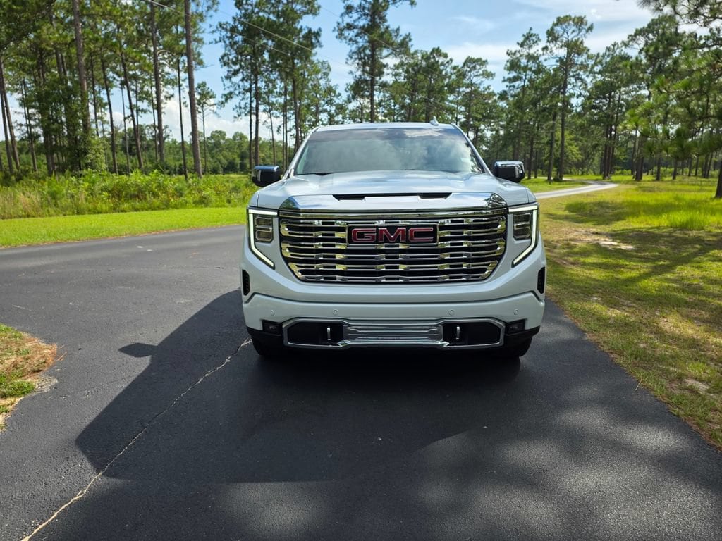 2026 GMC Sierra 1500 Denali - Photo 8