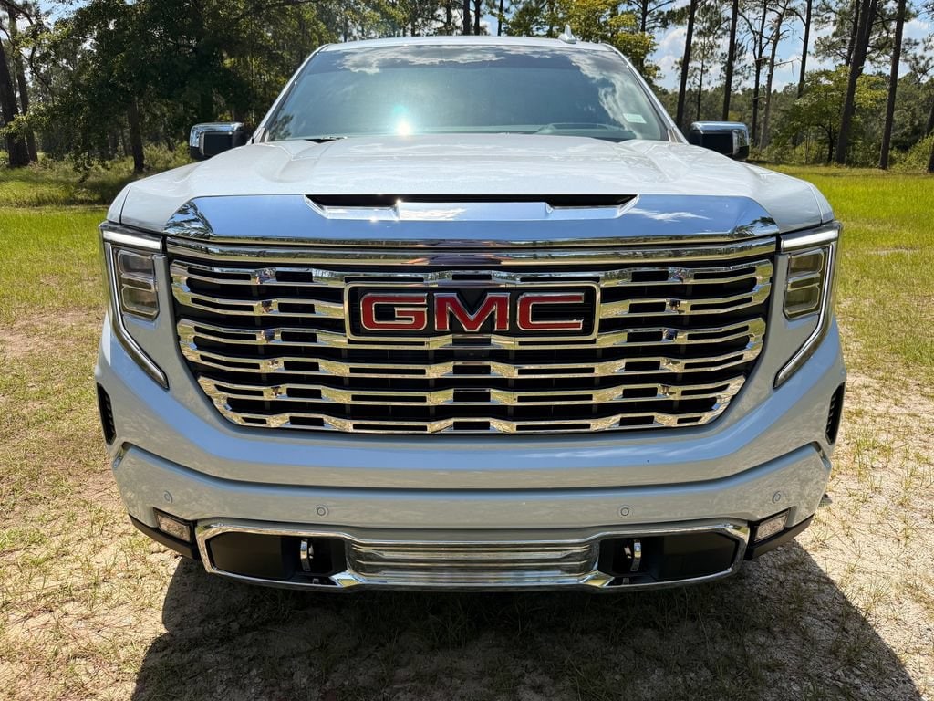 2026 GMC Sierra 1500 Denali - Photo 11