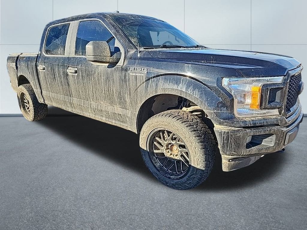 Used 2019 Ford F-150 XL