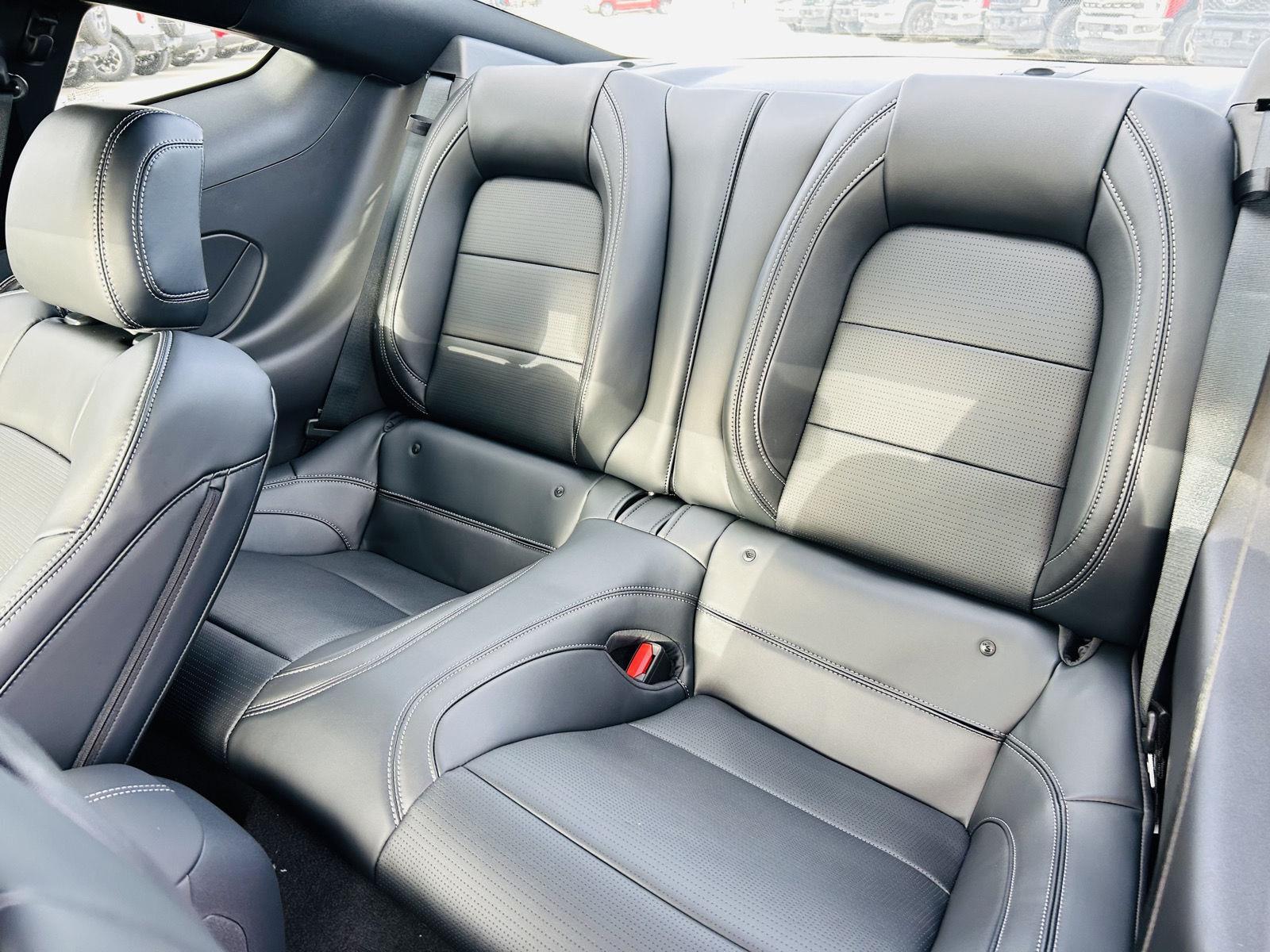 2026 Ford Mustang EcoBoost Premium Fastback - Photo 28