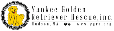 Charity-Contest-Winners-May-2017.png May 2017 Charity Contest Winners