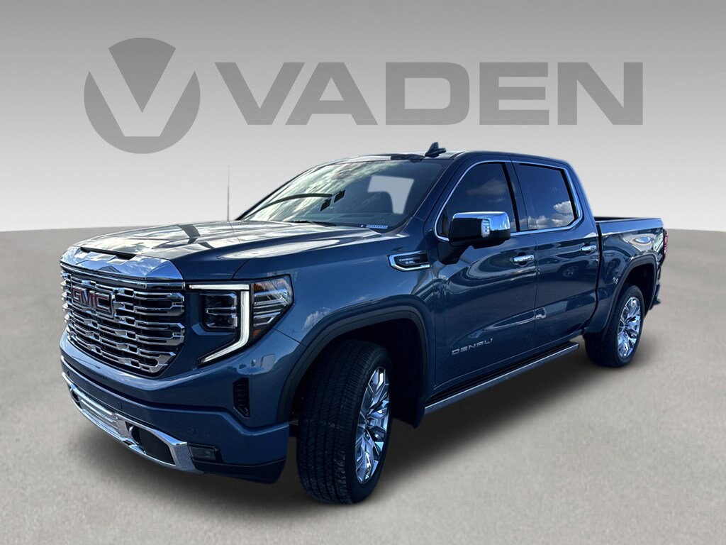2025 Gmc Sierra 1500 Denali photo 3