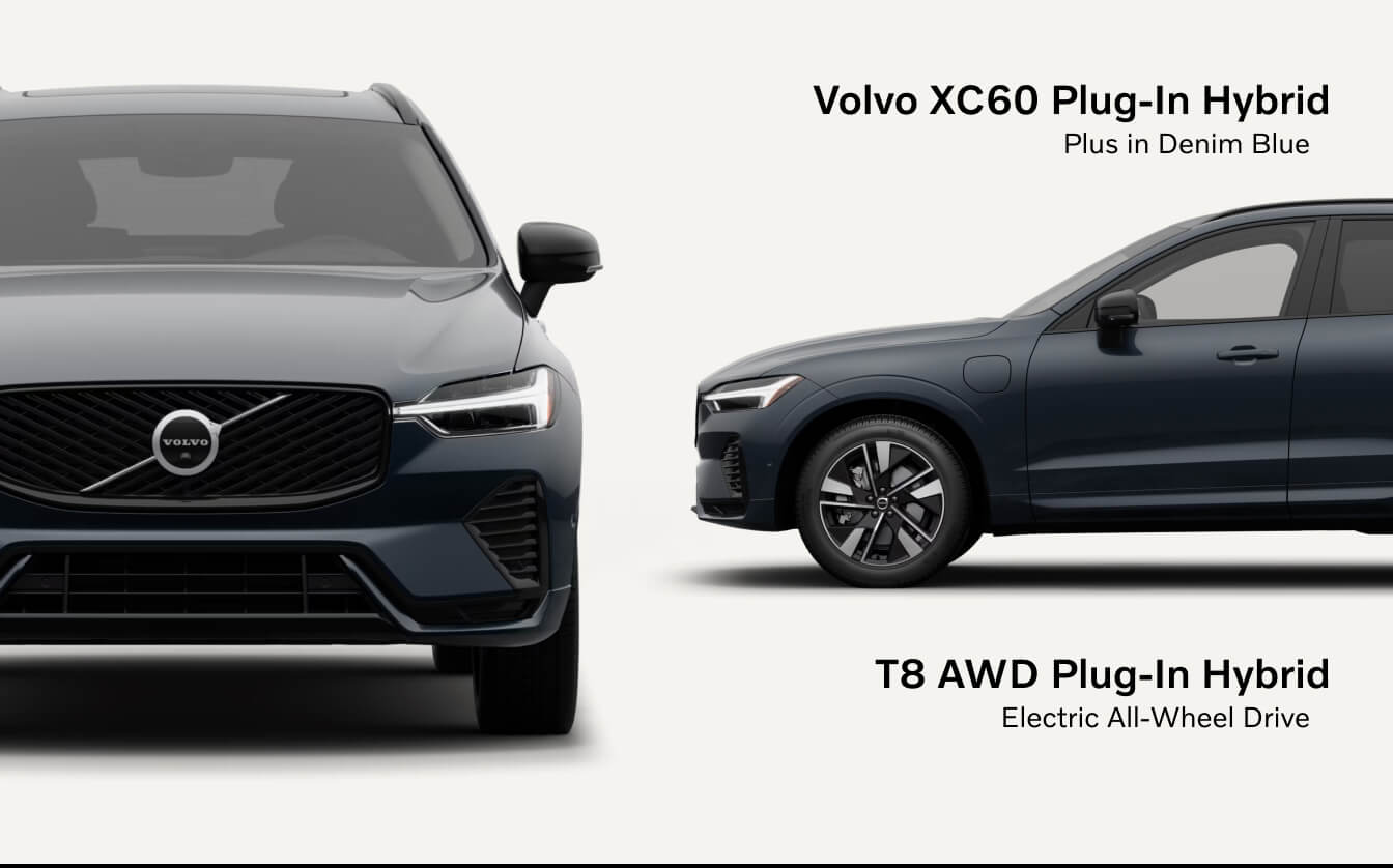Volvo XC60 Plus - Forest Lake