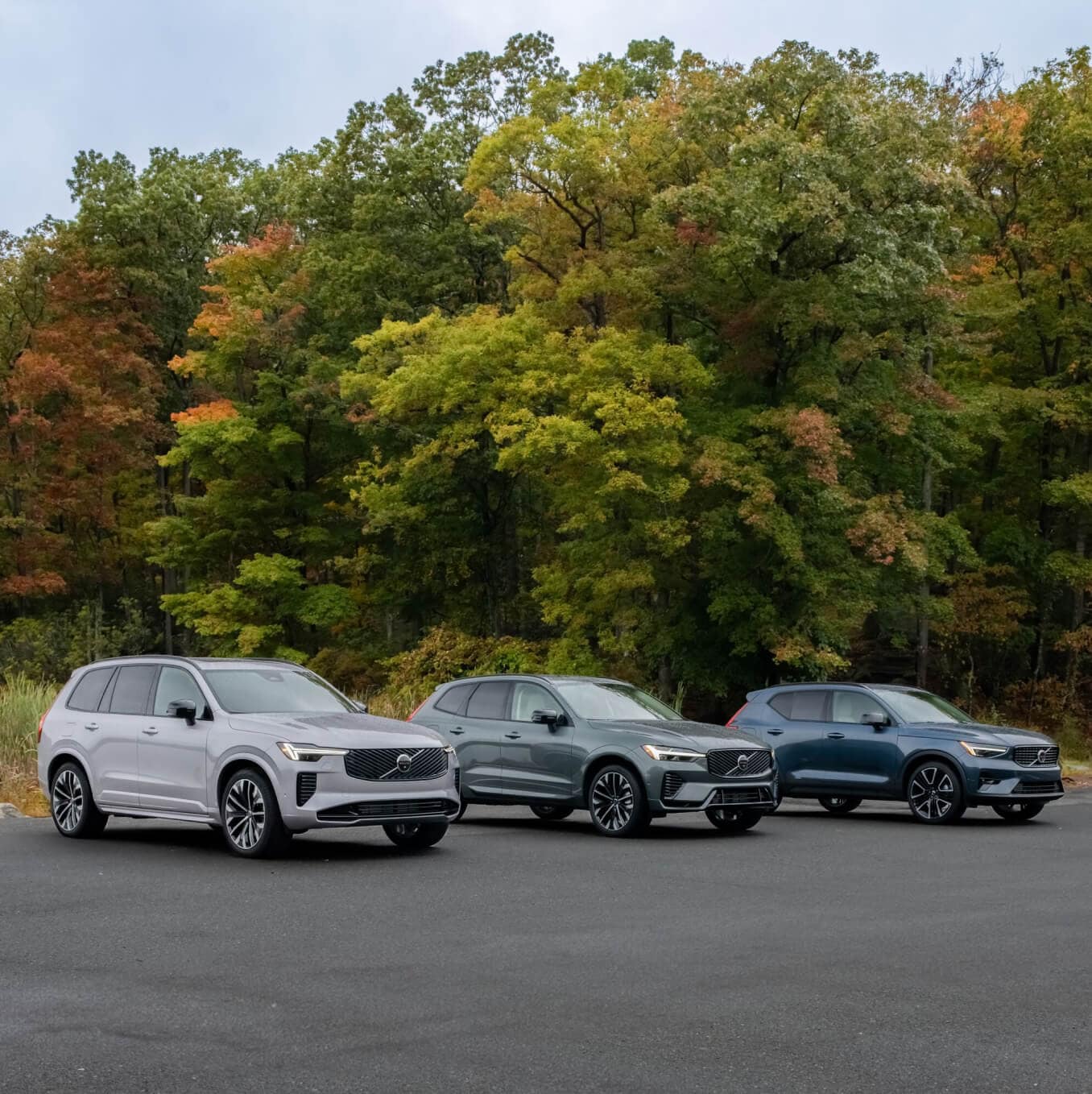 Front three-quarter view of silver, green, and blue Volvo SUVs parked in front of autumn trees.