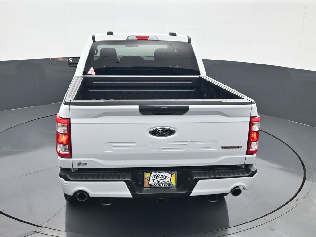 2021 Ford F-150 Tremor - Photo 18