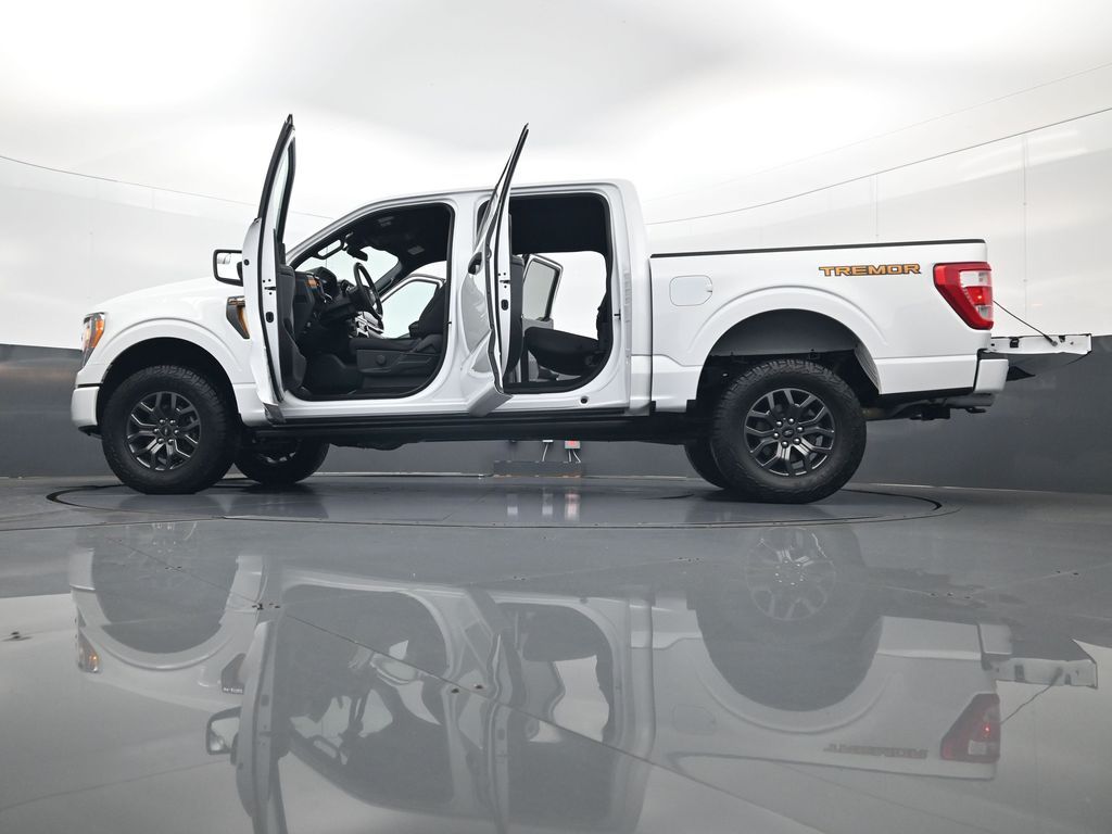 2021 Ford F-150 Tremor - Photo 34