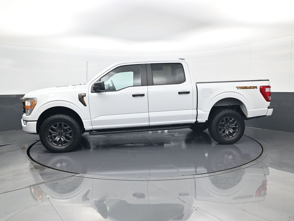 2021 Ford F-150 Tremor - Photo 8