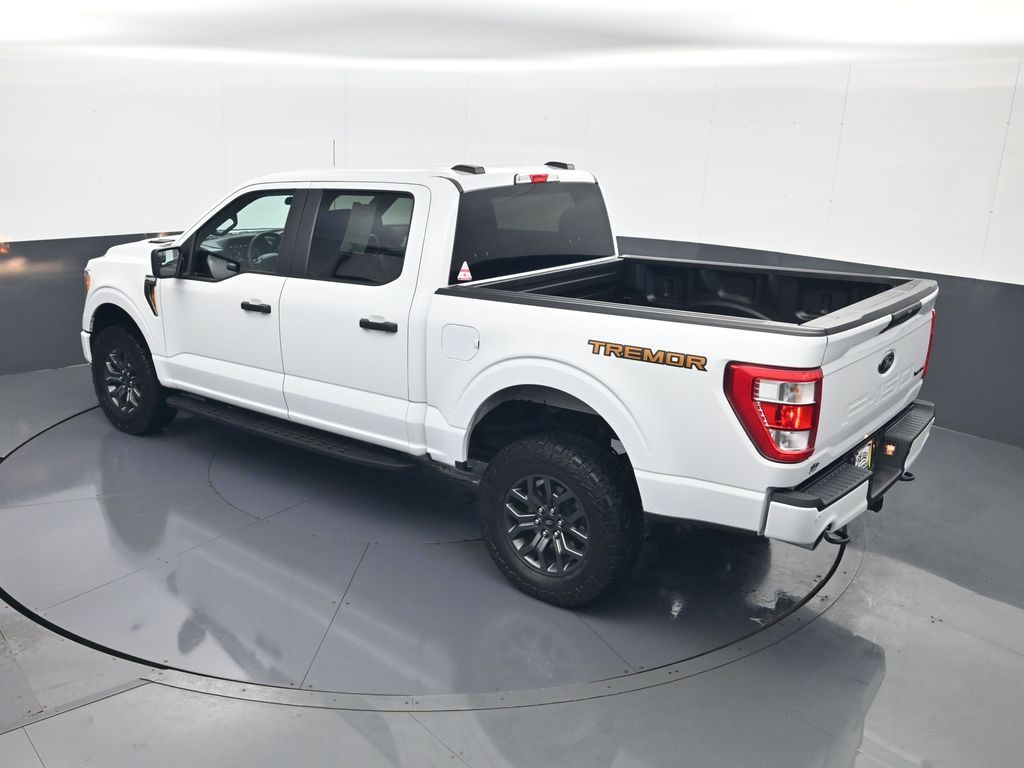 2021 Ford F-150 Tremor - Photo 19