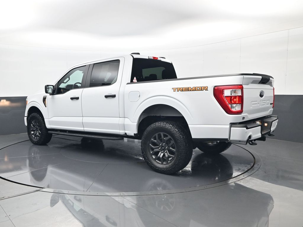 2021 Ford F-150 Tremor - Photo 7