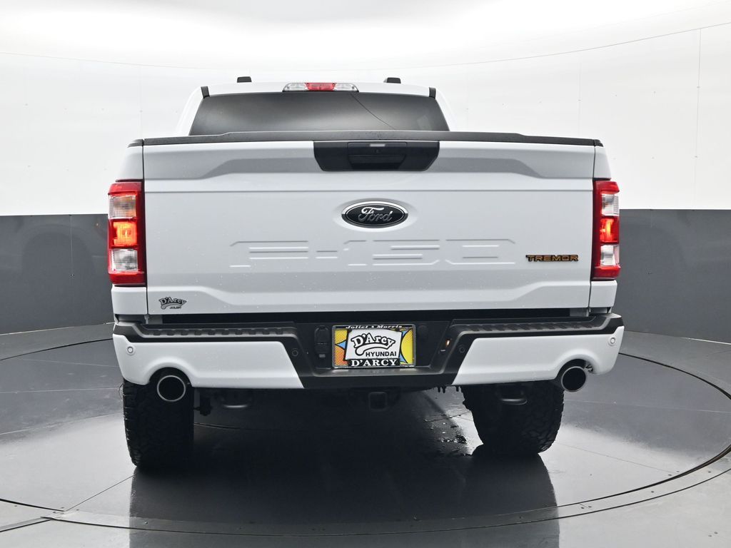 2021 Ford F-150 Tremor - Photo 6