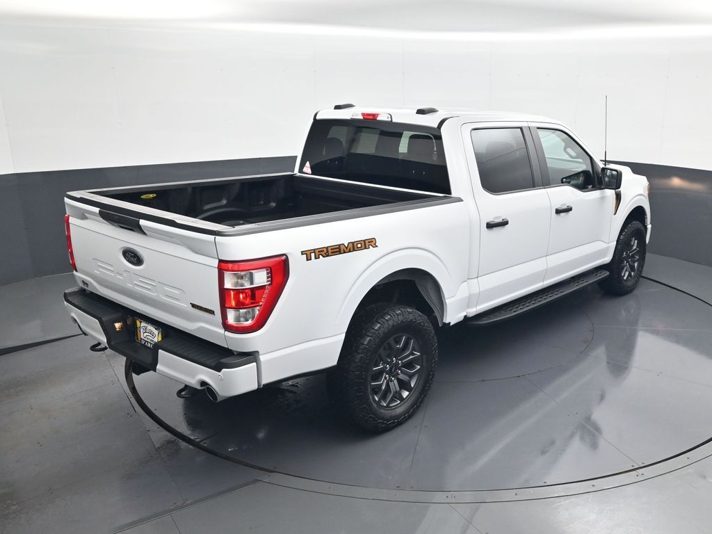 2021 Ford F-150 Tremor - Photo 17