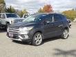 Used 2019 Ford Escape Titanium (Value Line) SUV