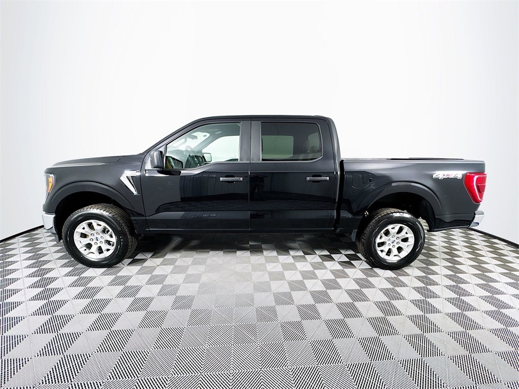 Used 2023 Ford F-150 XLT (Premium) Truck