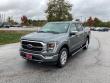 Used 2022 Ford F-150 Platinum (Darling's Certified) Truck
