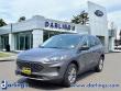 Used 2022 Ford Escape SE SUV