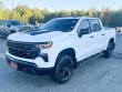 Used 2024 Chevrolet Silverado 1500 Custom Trail Boss (Darling's Certified) Truck
