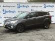 Used 2019 Ford Escape SE (Inspected Wholesale) SUV
