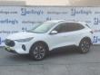 Used 2025 Ford Escape Platinum (Darling's Certified) SUV