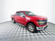 Used 2024 Ford F-150 XLT (Darling's Certified) Truck SuperCrew Cab
