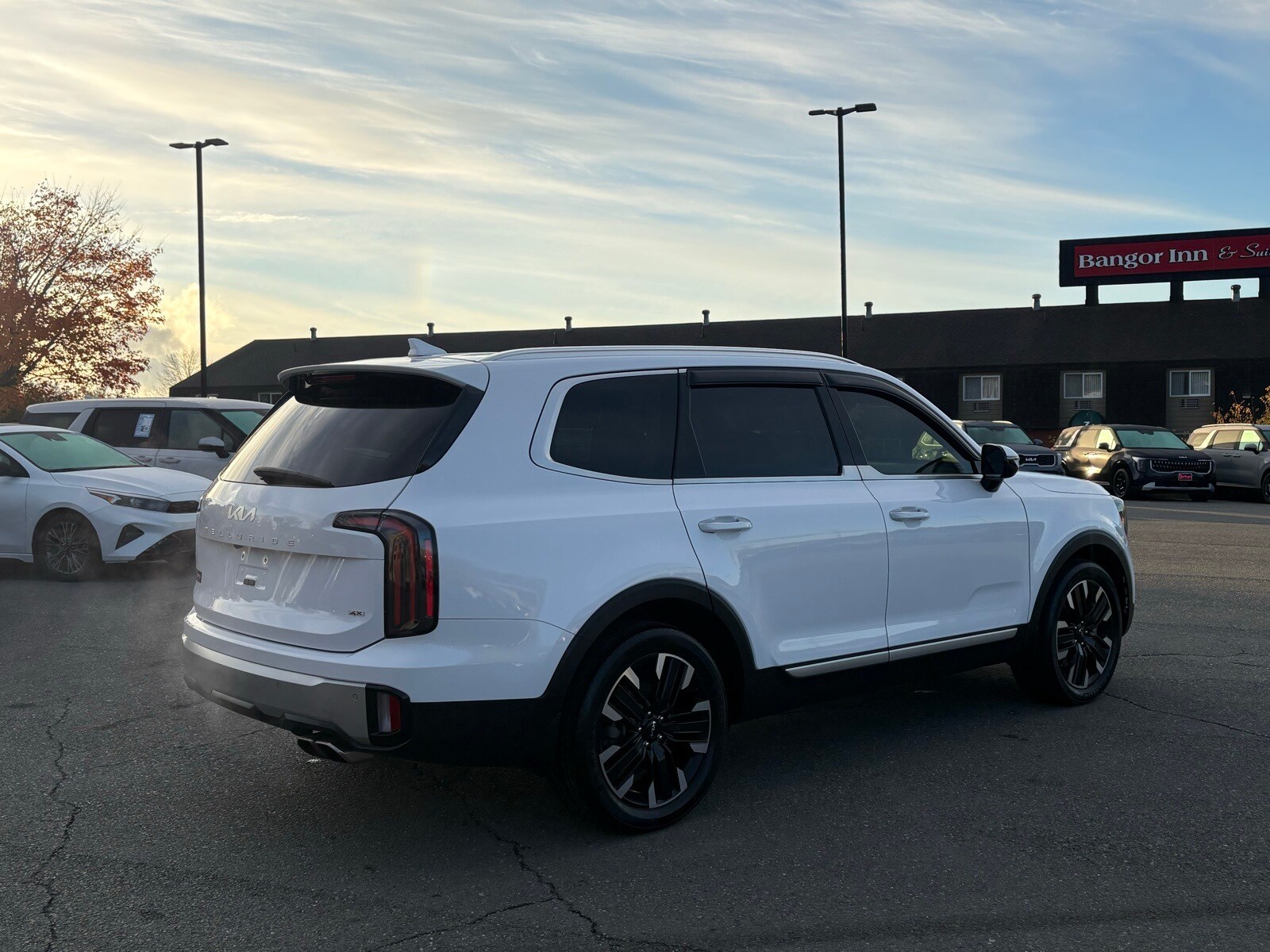 2023 Kia Telluride SX Prestige photo 3