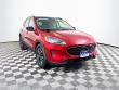 Used 2022 Ford Escape SE (Darling's Certified) SUV