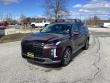 Used 2023 Hyundai Palisade Limited (Darling's Certified) SUV