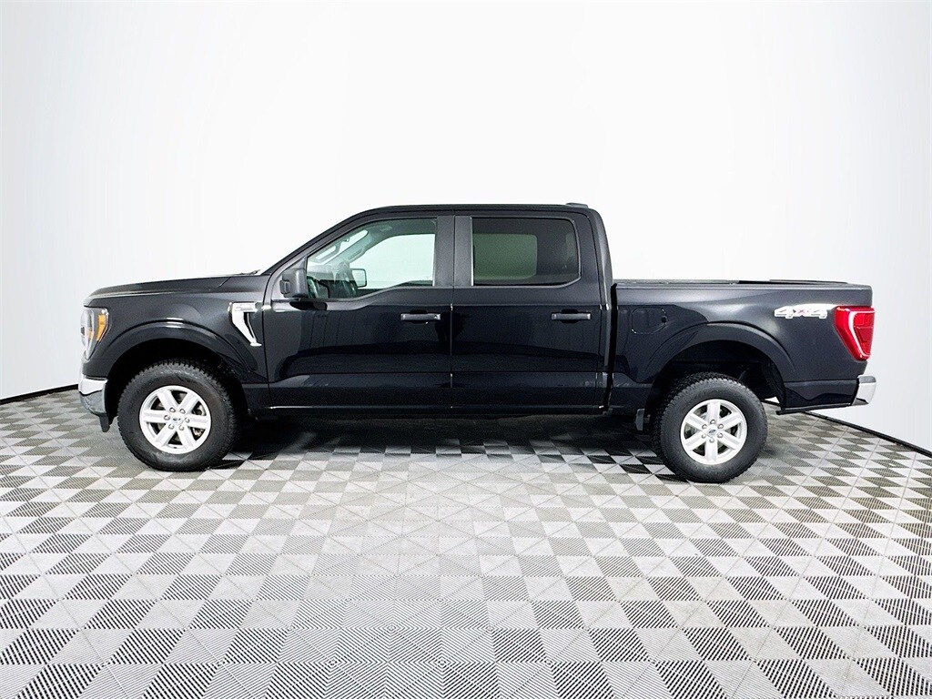 2023 Ford F-150 XLT photo 4