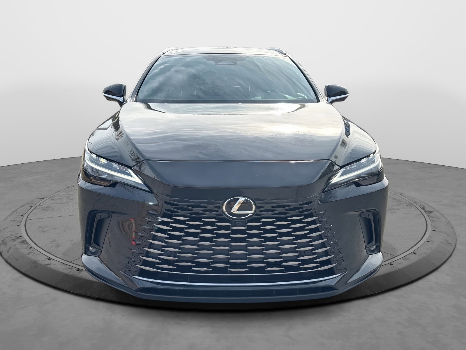 2023 Lexus RX 350h Premium photo 2