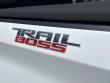 2022 Chevrolet Silverado 1500 LT Trail Boss Truck Crew Cab