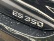 2023 LEXUS ES ES 350 Sedan