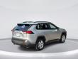 2019 Toyota RAV4 XLE SUV