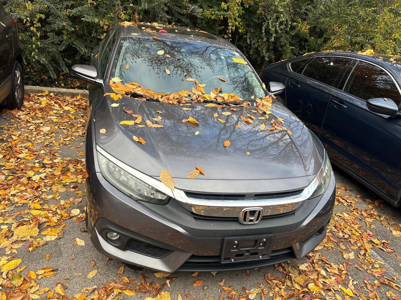 2016 Honda Civic Touring photo 2