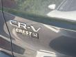 2024 Honda CR-V EX-L SUV