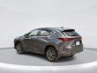 2024 LEXUS NX NX 350 SUV