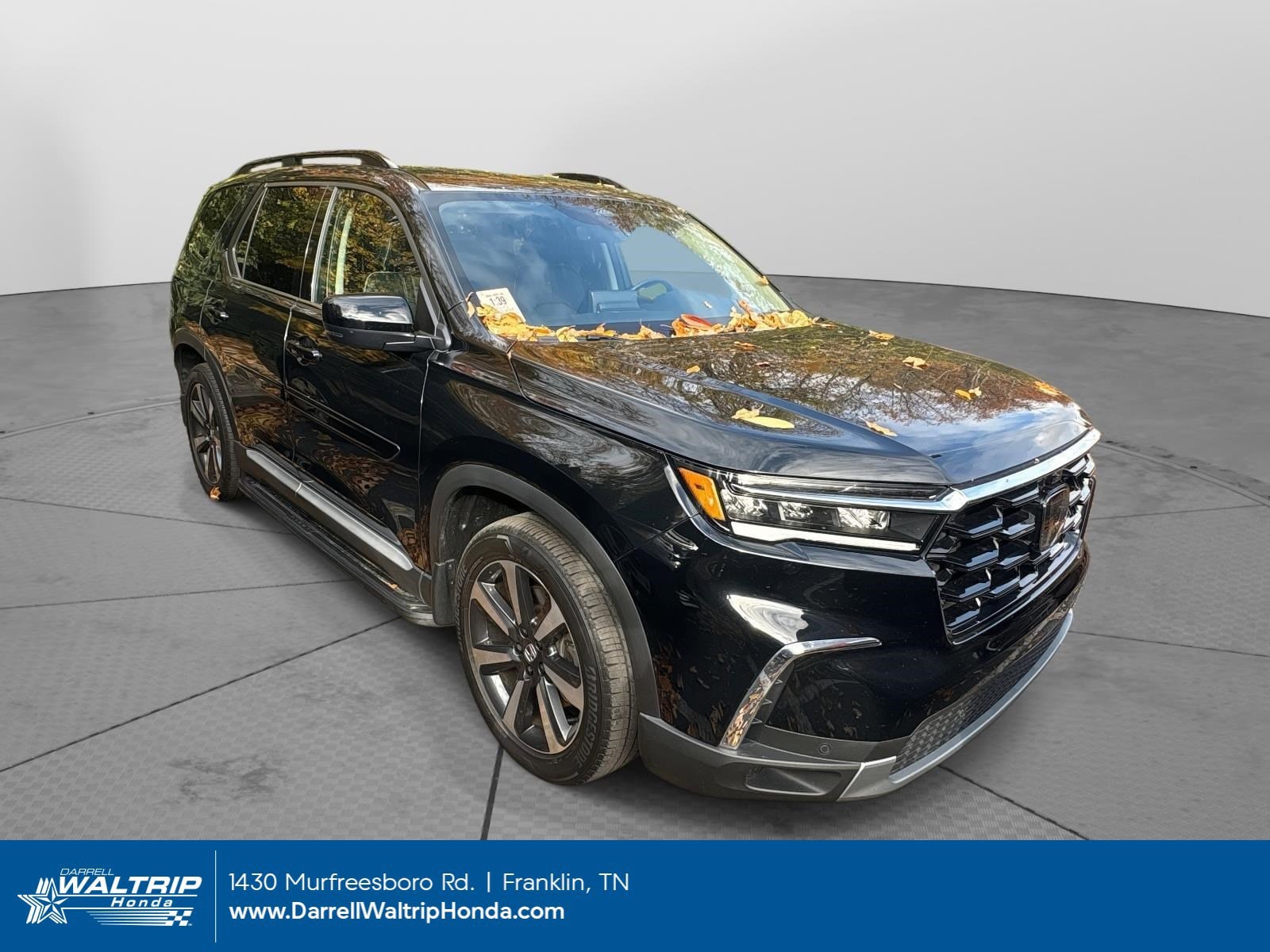 2023 Honda Pilot Elite's photo