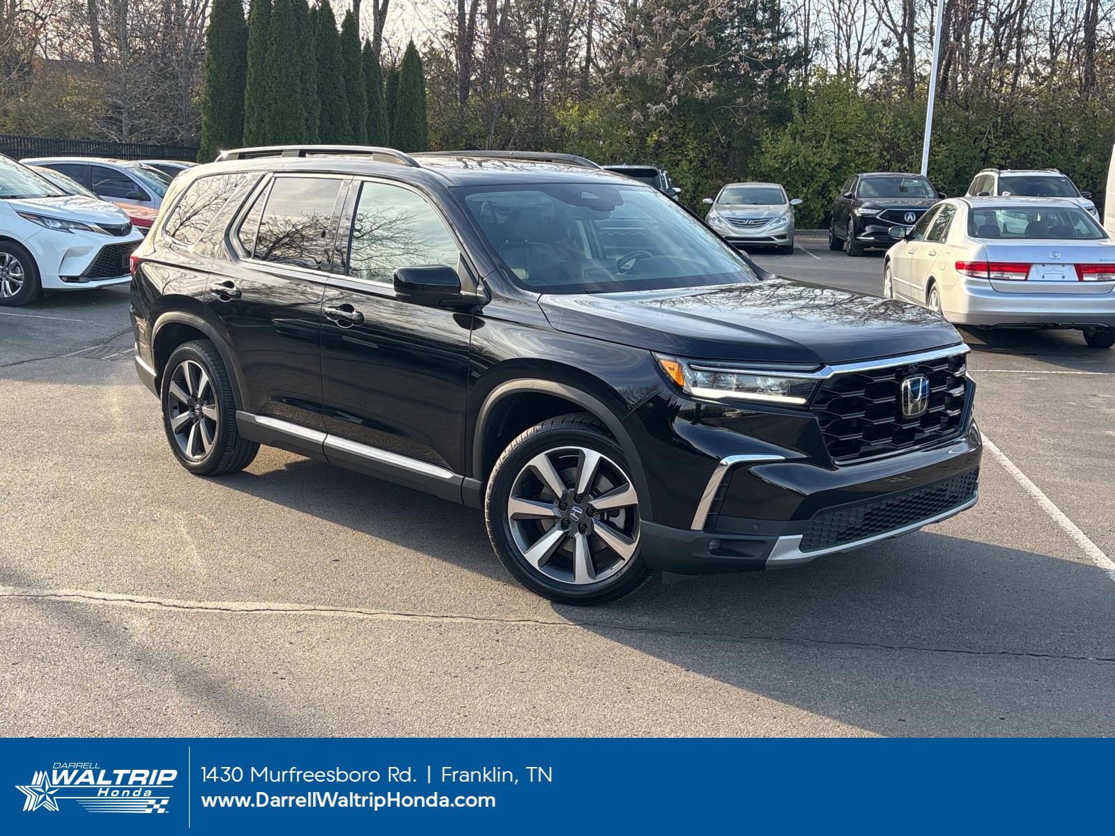 2024 Honda Pilot Elite's photo