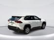 2024 Toyota RAV4 LE SUV