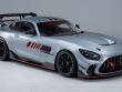 2022 Mercedes-Benz AMG GT Track Series Coupe
