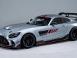 2022 Mercedes-Benz AMG GT Track Series Coupe