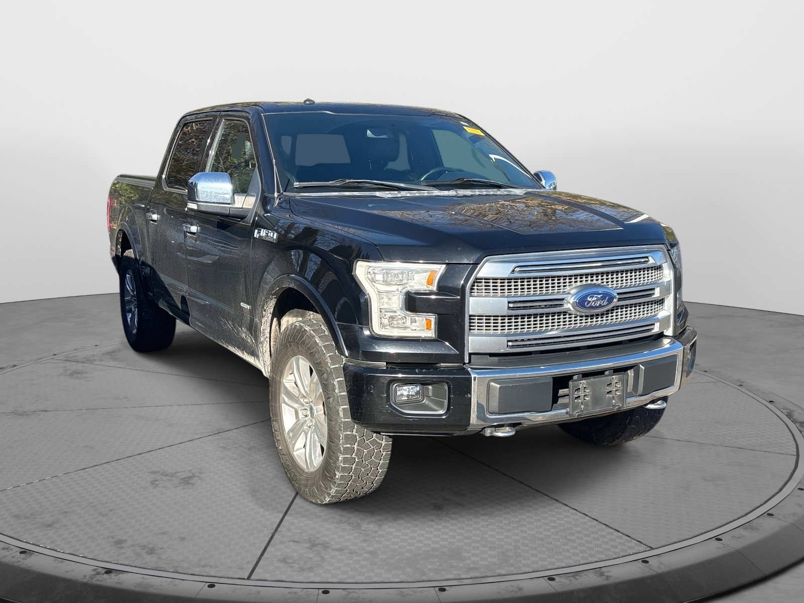 2016 Ford F-150 Platinum photo 2